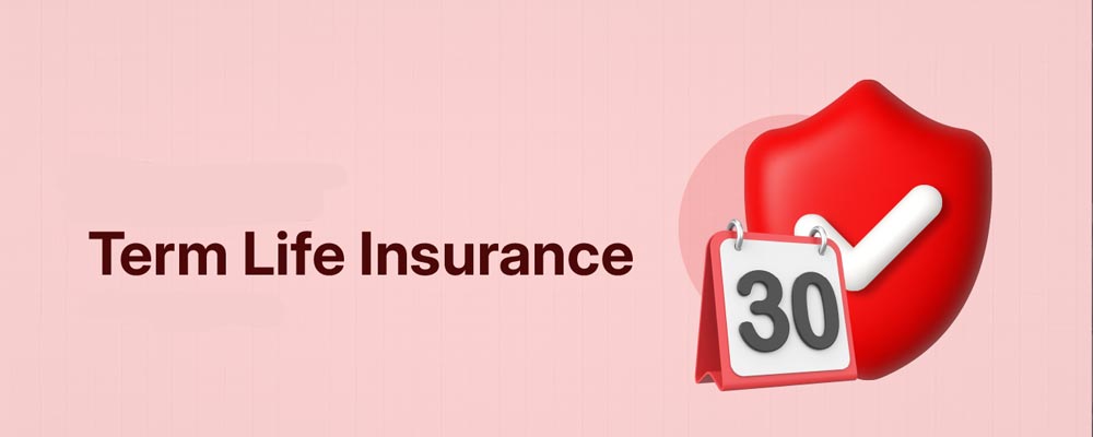 Term Life Insurance